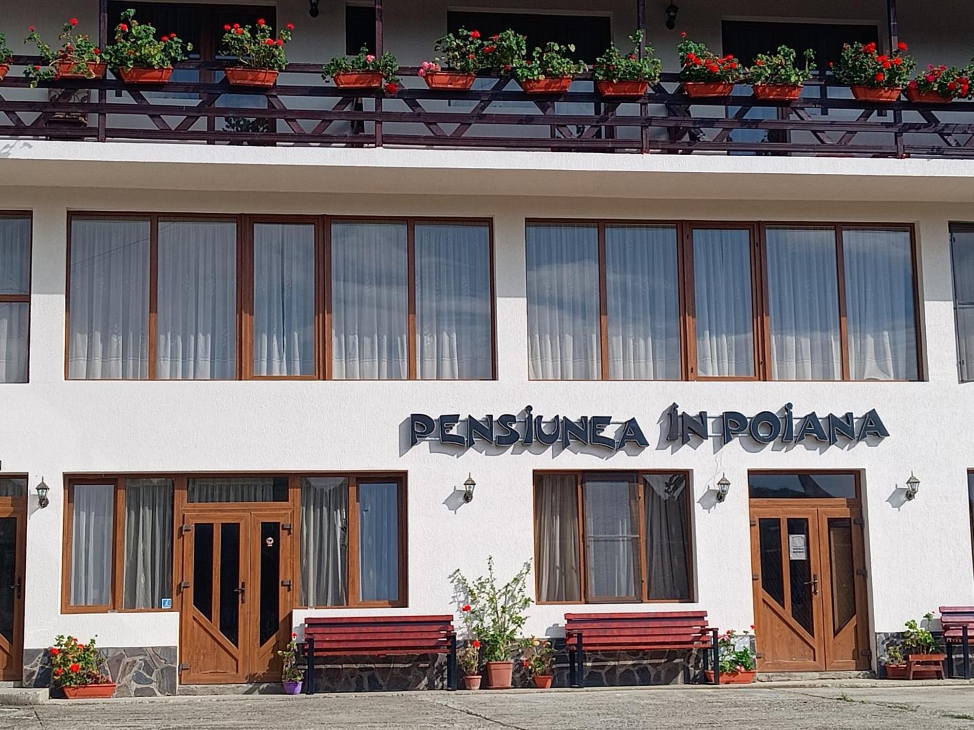Pensiunea In Poiana Glod  Exterior photo